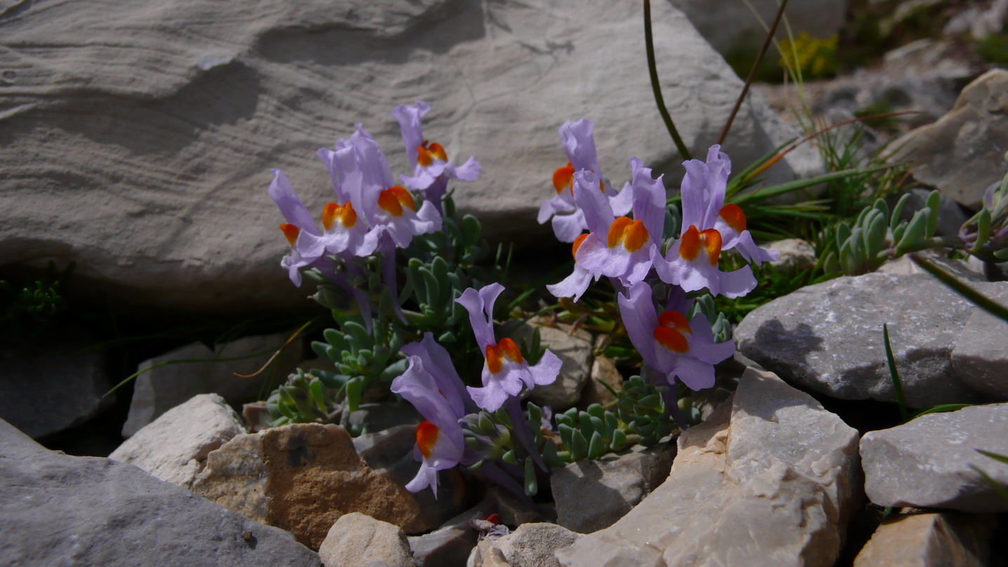 La val de Piero e Schiara nel parco delle dolomiti bellunesi